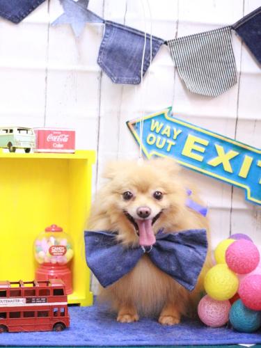 20230412リーくん